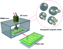 Graphical abstract: Magnetofluidic micromixer based on a complex rotating magnetic field