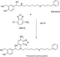 Graphical abstract: Utility of 4-chloro-7-nitrobenzo-2-oxa-1,3-diazole for development of a highly sensitive stability indicating spectrofluorimetric method for determination of salmeterol xinafoate; application to human plasma