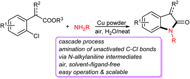 Graphical abstract: Copper powder-catalyzed chelation-assisted cascade reaction of o-chloroarylacetic acids with amines under solvent- and ligand-free conditions: synthesis of oxindoles