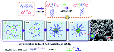Graphical abstract: Synthesis of fluorinated nanoparticles via RAFT dispersion polymerization-induced self-assembly using fluorinated macro-RAFT agents in supercritical carbon dioxide
