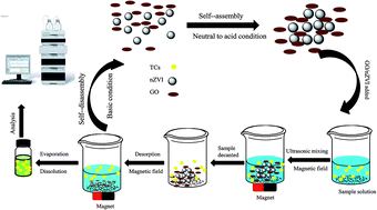 Graphical abstract: Magnetic solid phase extraction based on graphene oxide/nanoscale zero-valent iron for the determination of tetracyclines in water and milk by using HPLC-MS/MS