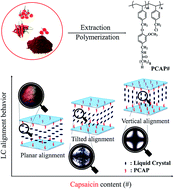Graphical abstract: Liquid crystal alignment behaviors on capsaicin substituted polystyrene films