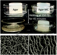 Graphical abstract: An ultra melt-resistant hydrogel from food grade carbohydrates