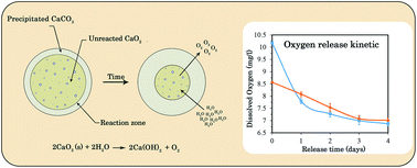 Graphical abstract: Controlled chemical synthesis of CaO2 particles coated with polyethylene glycol: characterization of crystallite size and oxygen release kinetics