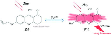 Graphical abstract: A theoretical investigation of the two-photon absorption and fluorescent properties of coumarin-based derivatives for Pd2+ detection