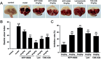 Graphical abstract: Anti-ulcerogenic effect of KFP-H008 against ethanol-induced gastric ulcer via p38 MAPK/NF-κB pathway