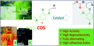 Graphical abstract: Alternating and regioregular copolymers with high refractive index from COS and biomass-derived epoxides
