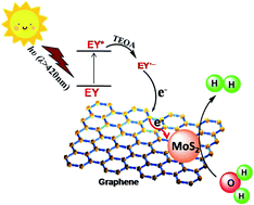 Graphical abstract: Graphene decorated MoS2 for eosin Y-sensitized hydrogen evolution from water under visible light