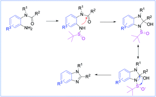 Graphical abstract: Synthesis of 1,2-disubstituted benzimidazoles using an aza-Wittig-equivalent process