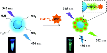 Graphical abstract: One-pot hydrothermal synthesis of luminescent silicon-based nanoparticles for highly specific detection of oxytetracycline via ratiometric fluorescent strategy