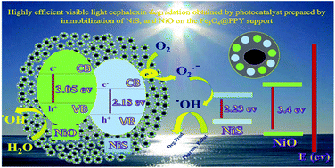 Graphical abstract: Photocatalytic activity of NiS, NiO and coupled NiS–NiO for degradation of pharmaceutical pollutant cephalexin under visible light