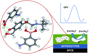 Graphical abstract: An electrochemical MIP sensor for selective detection of salbutamol based on a graphene/PEDOT:PSS modified screen printed carbon electrode