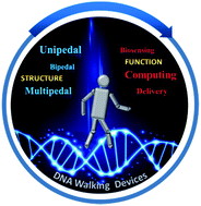 Graphical abstract: DNA-based nanoscale walking devices and their applications