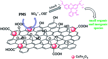 Graphical abstract: Magnetic CoFe2O4 nanoparticles supported on graphene oxide (CoFe2O4/GO) with high catalytic activity for peroxymonosulfate activation and degradation of rhodamine B