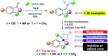 Graphical abstract: Nitrones and nucleobase-containing spiro-isoxazolidines derived from isatin and indanone: solvent-free microwave-assisted stereoselective synthesis and theoretical calculations