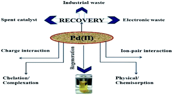 Graphical abstract: A perspective on diverse adsorbent materials to recover precious palladium and the way forward