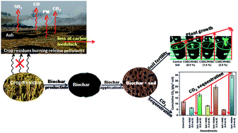 Graphical abstract: Biochar production and applications in soil fertility and carbon sequestration – a sustainable solution to crop-residue burning in India