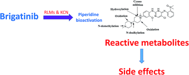 Graphical abstract: LC-ESI-MS/MS reveals the formation of reactive intermediates in brigatinib metabolism: elucidation of bioactivation pathways