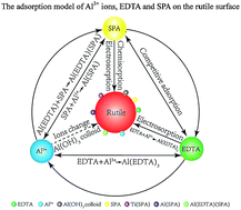 Graphical abstract: The role of EDTA on rutile flotation using Al3+ ions as an activator