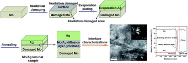 Graphical abstract: Induction of diffusion and construction of metallurgical interfaces directly between immiscible Mo and Ag by irradiation-induced point defects
