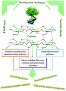 Graphical abstract: Current progress in production of biopolymeric materials based on cellulose, cellulose nanofibers, and cellulose derivatives