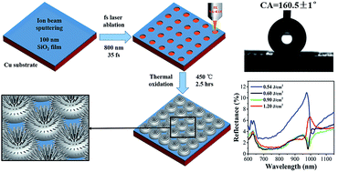 Graphical abstract: A dual-functional surface with hierarchical micro/nanostructure arrays for self-cleaning and antireflection