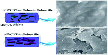 Graphical abstract: Multiwall-carbon-nanotube/cellulose composite fibers with enhanced mechanical and electrical properties by cellulose grafting