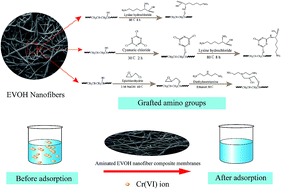 Graphical abstract: Aminated EVOH nanofiber membranes for Cr(vi) adsorption from aqueous solution