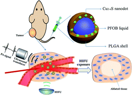 Graphical abstract: Small PLGA nanocapsules Co-encapsulating copper sulfide nanodots and fluorocarbon compound for photoacoustic imaging-guided HIFU synergistic therapy