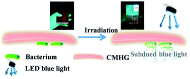 Graphical abstract: “Less Blue, More Clean”: Cu2O nano-cubic functionalized hydrogel for the energy transformation of light-emitting screens