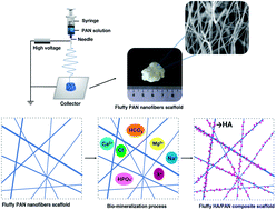 Graphical abstract: A three-dimensional hydroxyapatite/polyacrylonitrile composite scaffold designed for bone tissue engineering
