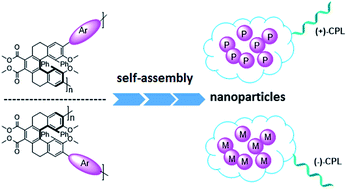 Graphical abstract: Synthesis, chiroptical properties, and self-assembled nanoparticles of chiral conjugated polymers based on optically stable helical aromatic esters