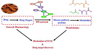 Graphical abstract: Identifying the molecular targets of Salvia miltiorrhiza (SM) in ox-LDL induced macrophage-derived foam cells based on the integration of metabolomics and network pharmacology