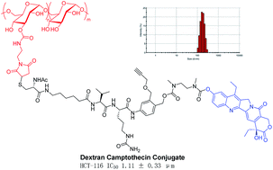 Graphical abstract: Maleimidation of dextran and the application in designing a dextran–camptothecin conjugate