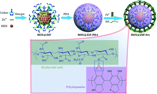 Graphical abstract: Fabrication of a hyaluronic acid conjugated metal organic framework for targeted drug delivery and magnetic resonance imaging