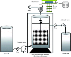 Graphical abstract: Enhanced biodegradation of phenol in a novel cyclic activated sludge integrated with a rotating bed bioreactor in anoxic and peroxidase-mediated conditions