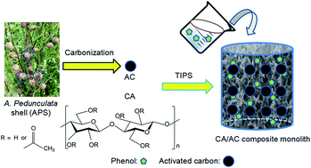 Graphical abstract: A cellulose acetate/Amygdalus pedunculata shell-derived activated carbon composite monolith for phenol adsorption