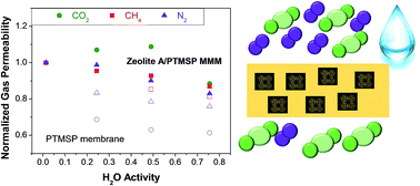 Graphical abstract: Effect of relative humidity on the gas transport properties of zeolite A/PTMSP mixed matrix membranes