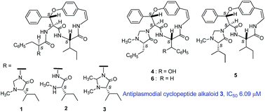 Graphical abstract: New bioactive cyclopeptide alkaloids with rare terminal unit from the root bark of Ziziphus cambodiana