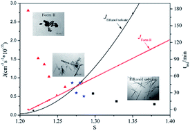 Graphical abstract: Insights into the mechanism of concomitant nucleation of form II and ethanol solvate of spironolactone in cooling crystallization
