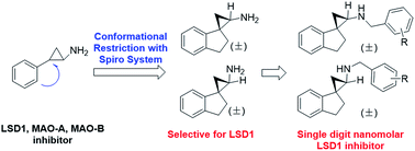 Graphical abstract: Novel spirocyclic tranylcypromine derivatives as lysine-specific demethylase 1 (LSD1) inhibitors