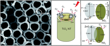 Graphical abstract: Preparation of ZnO@TiO2 nanotubes heterostructured film by thermal decomposition and their photocatalytic performances
