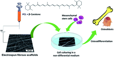 Graphical abstract: β-Carotene: a natural osteogen to fabricate osteoinductive electrospun scaffolds