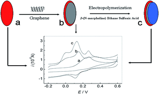 Graphical abstract: Simultaneous voltammetric detection of dopamine, ascorbic acid and uric acid using a poly(2-(N-morpholine)ethane sulfonic acid)/RGO modified electrode