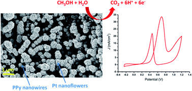 Graphical abstract: Facile synthesis of 3D flower-like Pt nanostructures on polypyrrole nanowire matrix for enhanced methanol oxidation