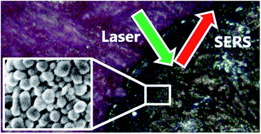 Graphical abstract: Plasmonic colloidal pastes for surface-enhanced Raman spectroscopy (SERS) of historical felt-tip pens