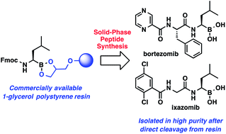 Graphical abstract: A solid-phase approach for the synthesis of α-aminoboronic acid peptides