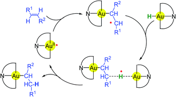 Graphical abstract: Radical-initiated alkene hydroauration as a route to gold(iii) alkyls: an experimental and computational study
