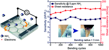 Graphical abstract: Highly transparent and flexible polyaniline mesh sensor for chemiresistive sensing of ammonia gas