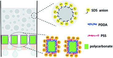 Graphical abstract: Fouling-resistant membranes for separation of oil-in-water emulsions